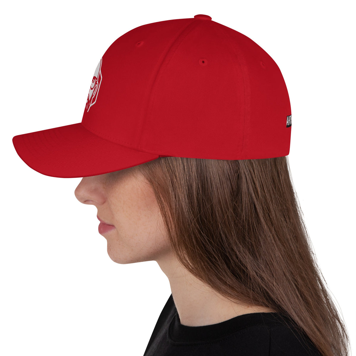 Gorra de sarga estructurada Unisex AntiInfluenzer