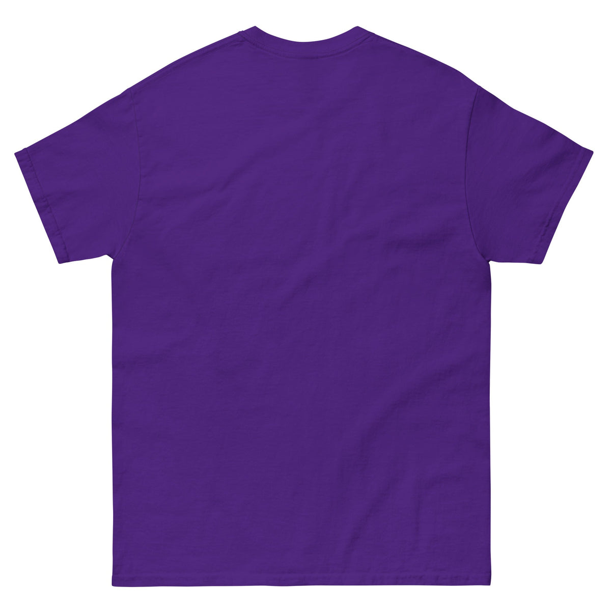 Camiseta Básica Profesor Anti-Influenzer Logo Pecho Unisex